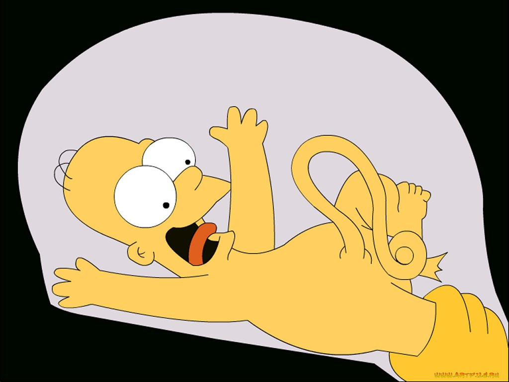 , the, simpsons